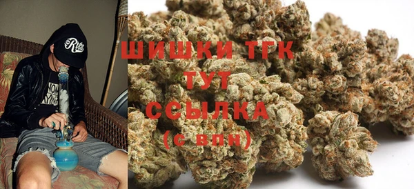 молекула духа Ачинск