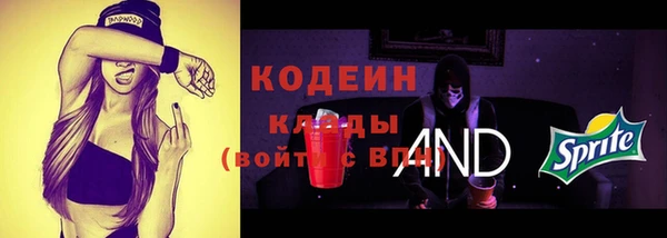молекула духа Ачинск