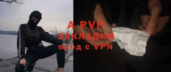 эйфоретик Майский