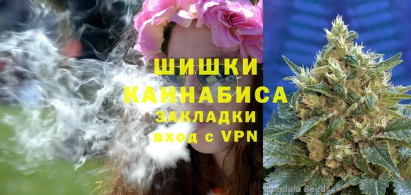 молекула духа Ачинск