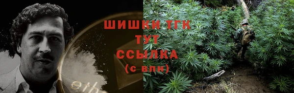молекула духа Ачинск