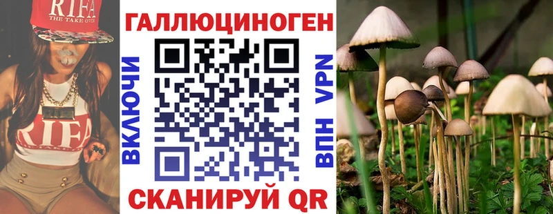 Галлюциногенные грибы мицелий  Иланский 