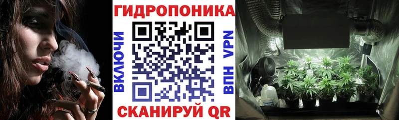 Конопля сатива Иланский