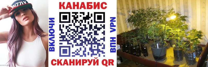 закладки  Иланский  Каннабис семена 